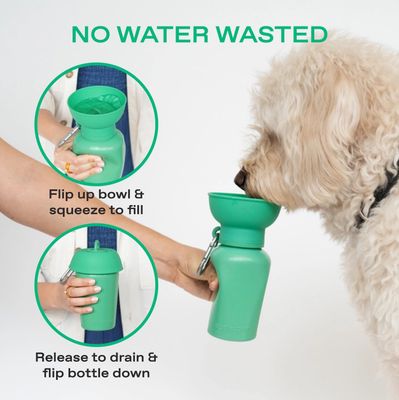 SPRINGLAND WATER BOTTLE 20 OZ FLIP