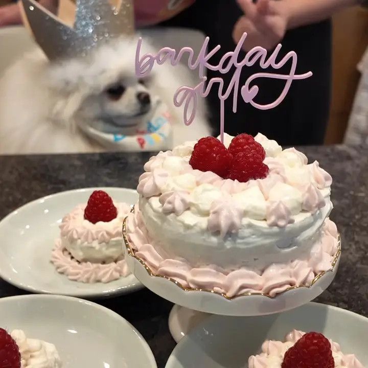 CAKE TOPPER BARKDAY GIRL