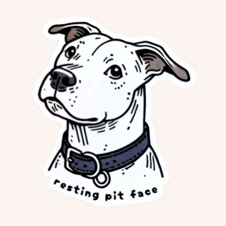NOVELTY STICKER BLACK RESTING PIT FACE