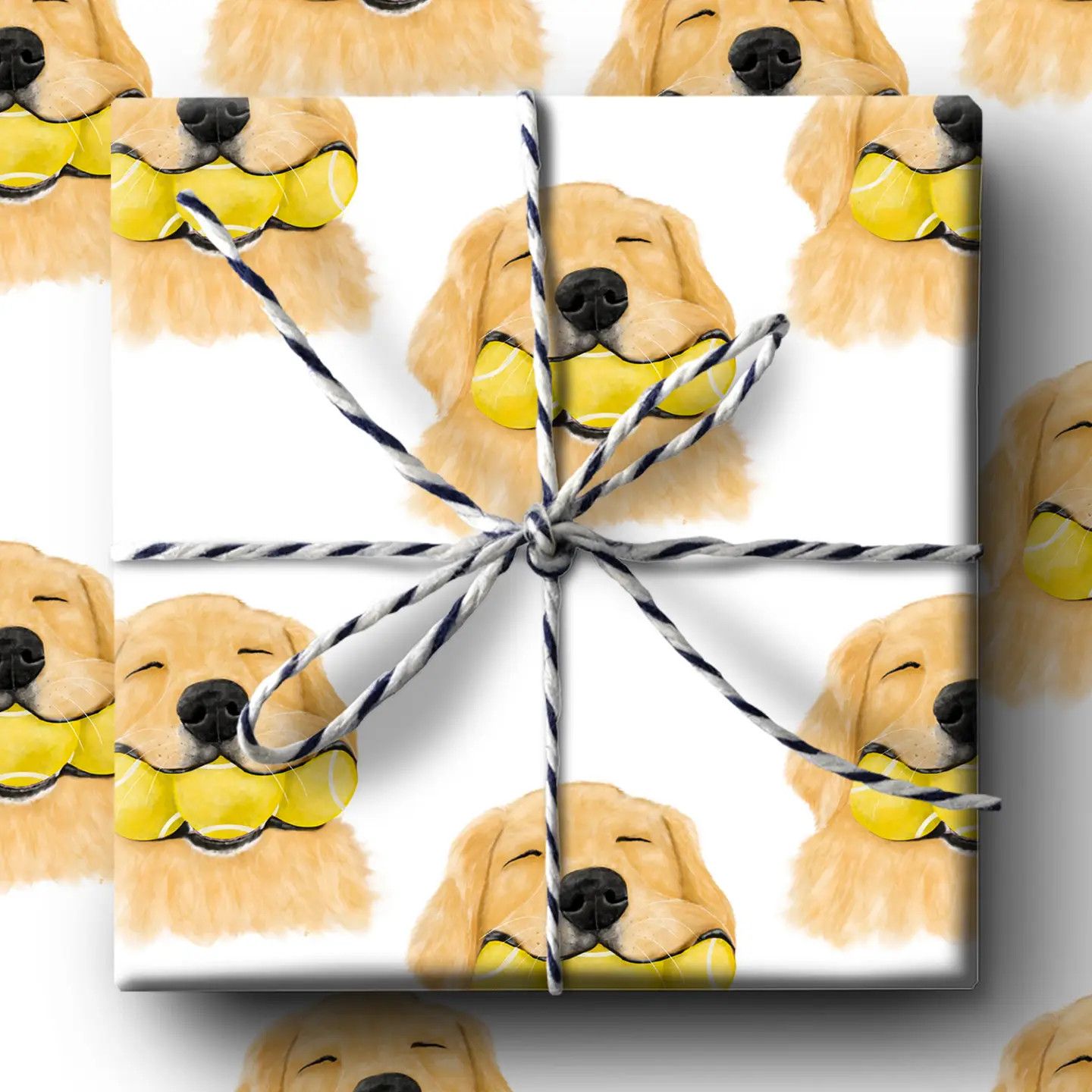 GIFT WRAP TENNIS BALL RETRIEVER