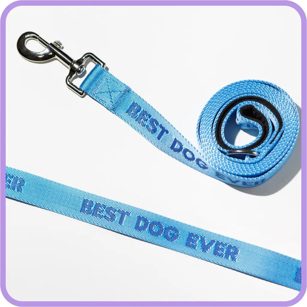 DOG LEASH BEST DOG EVER OCEAN BLUE