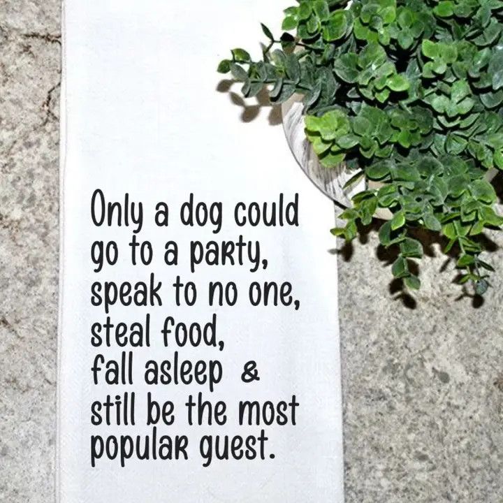 KITCHEN TOWEL DOG IS THE MOST POPULAR GUEST AT THE PARTY