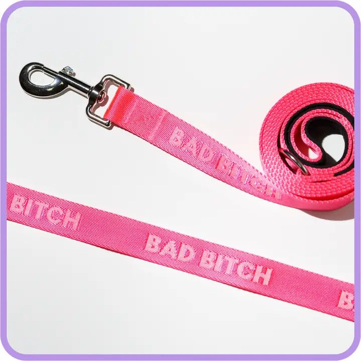 DOG LEASH BAD BITCH HOT GIRL PINK