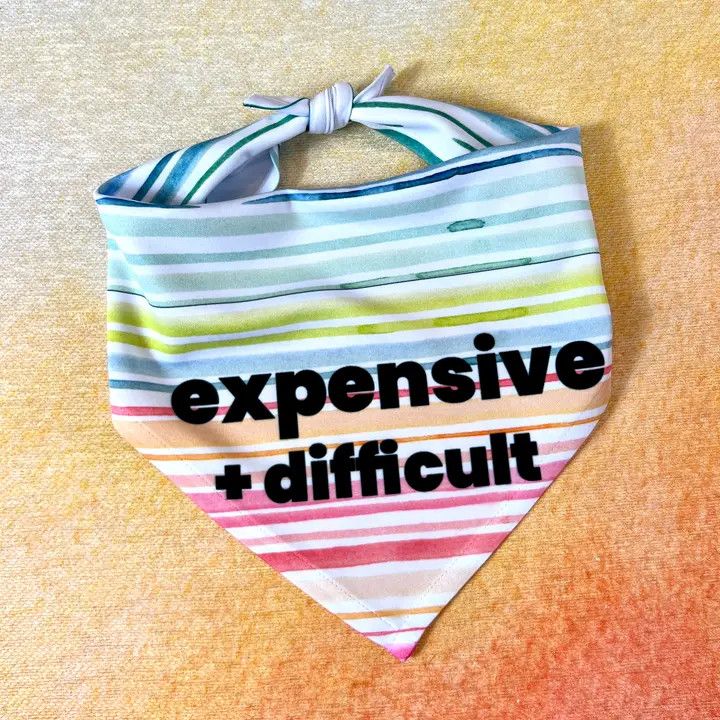 ATTITUDE BANDANA EXPENSIVE AND DIFFICULT