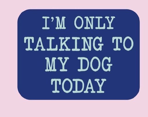 NOVELTY STICKER ONLY TALKING TO MY DOG TODAY
