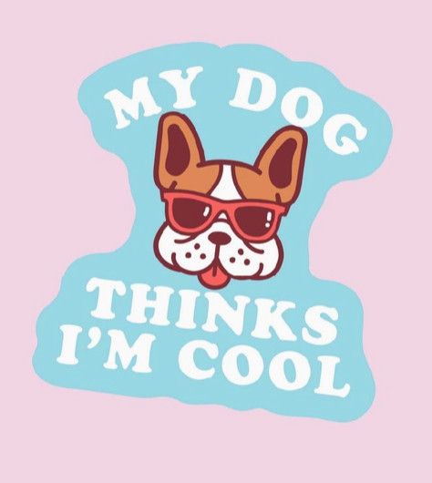 NOVELTY STICKER MY DOG THINKS I'M COOL
