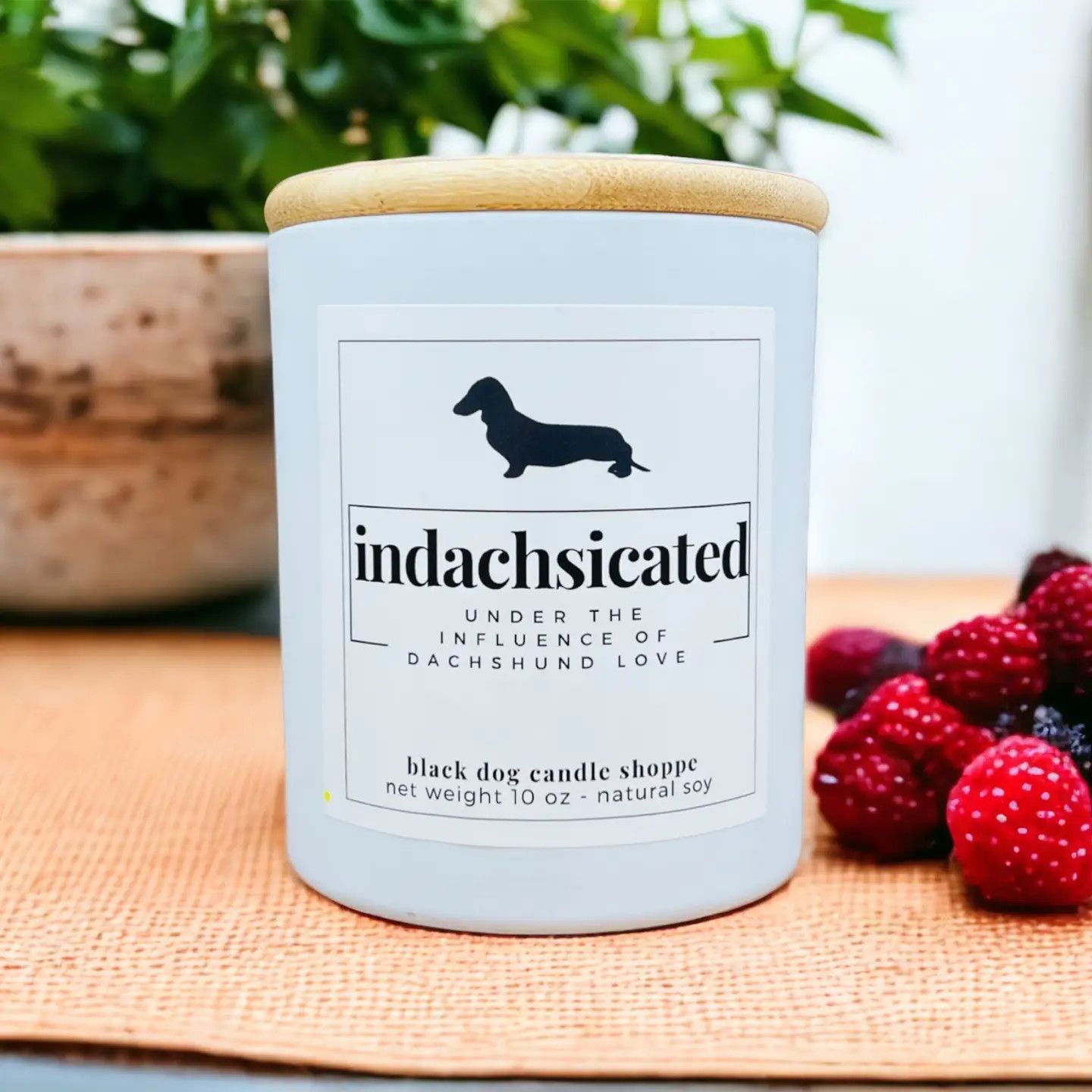 CANDLE INDACHSICATED WHITE - PEONY &amp; SANDALWOOD