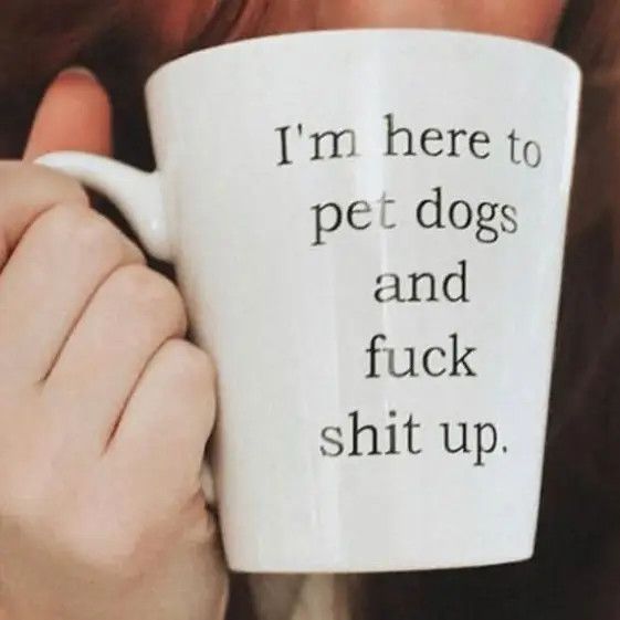 COFFEE MUG PET DOGS AND FUCK SHIT UP