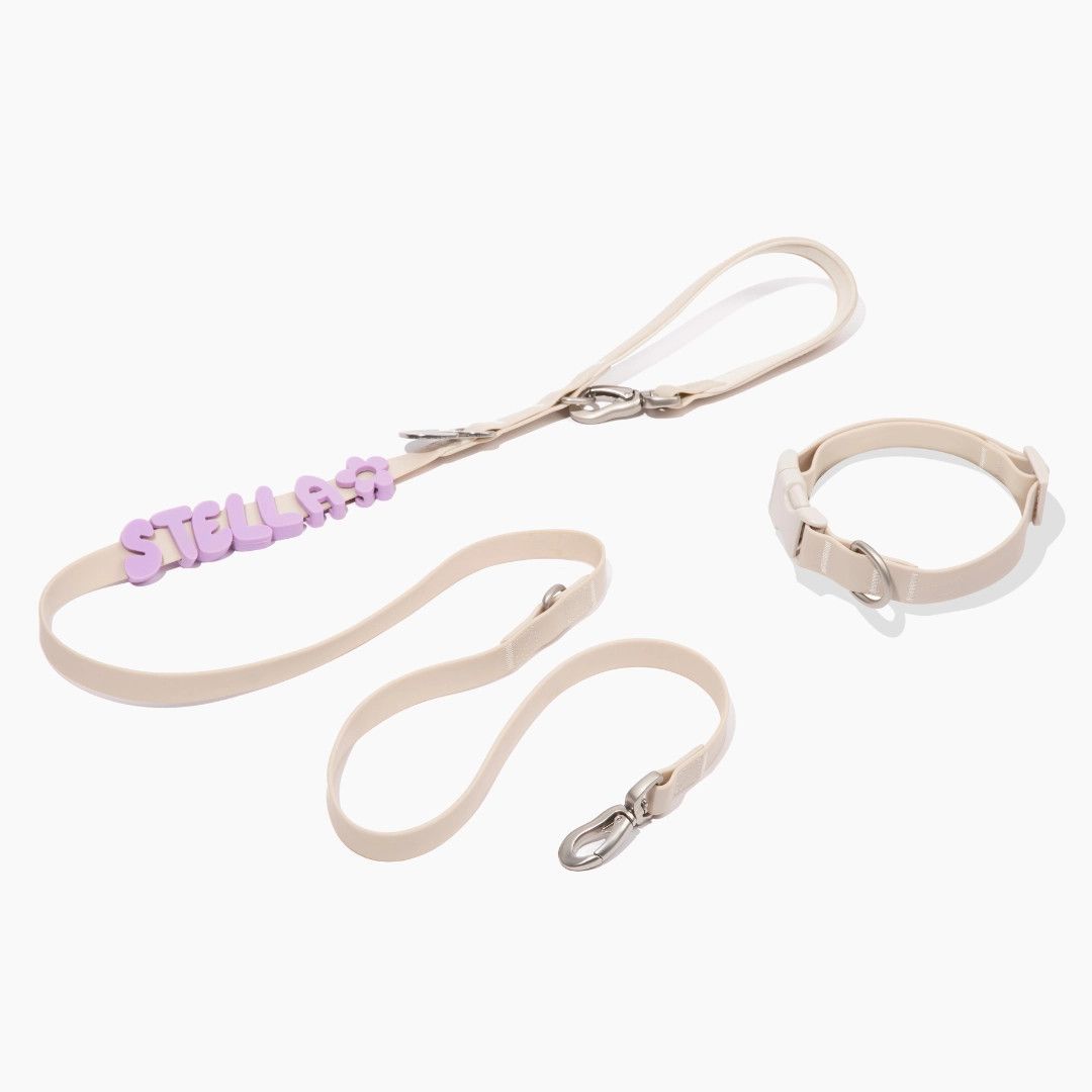 SPRINGLAND LEASH OAT