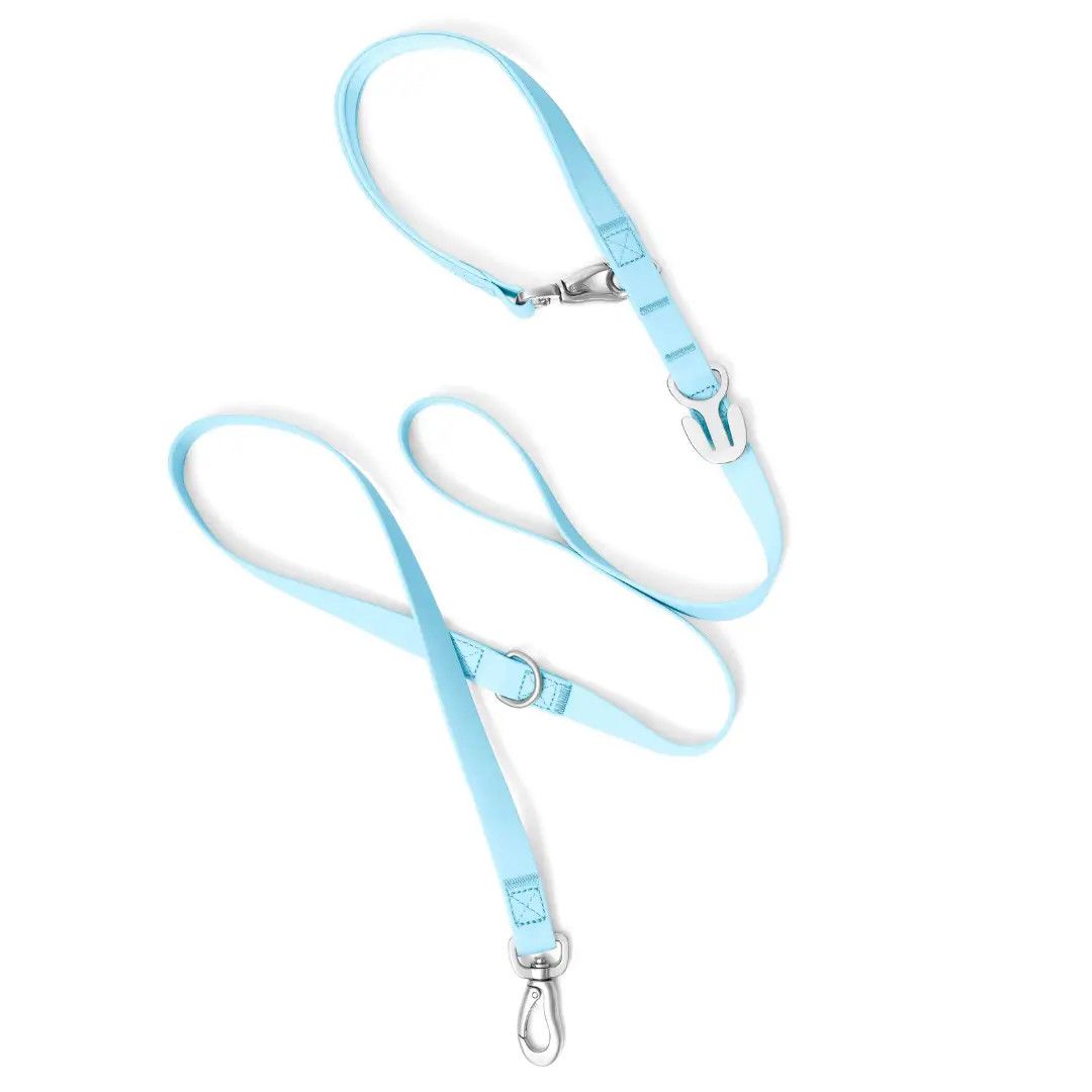 SPRINGLAND LEASH SKY BLUE