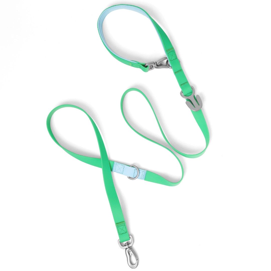SPRINGLAND LEASH GREEN/SKY BLUE