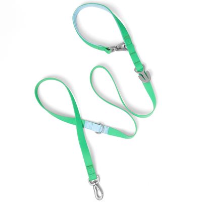 SPRINGLAND LEASH GREEN/SKY BLUE