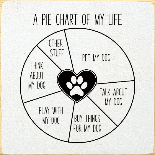 BLOCK SIGN PIE CHART OF MY LIFE