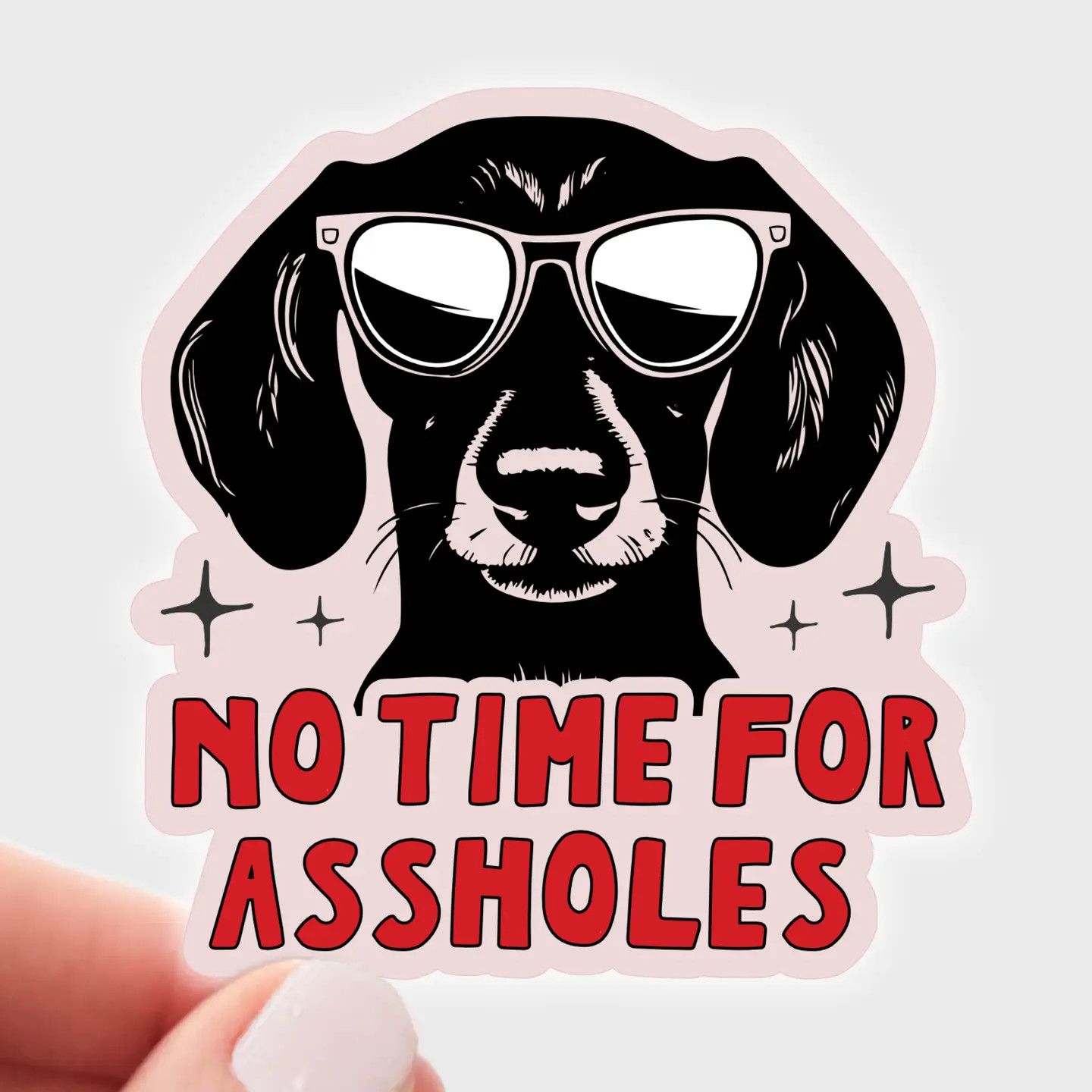 NOVELTY STICKER NO TIME FOR ASSHOLES DACHSHUND