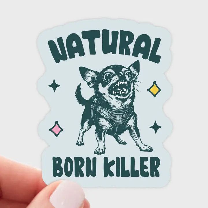 NOVELTY STICKER NATURAL BORN KILLER CHIHUAHUA
