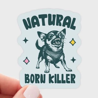 NOVELTY STICKER NATURAL BORN KILLER CHIHUAHUA