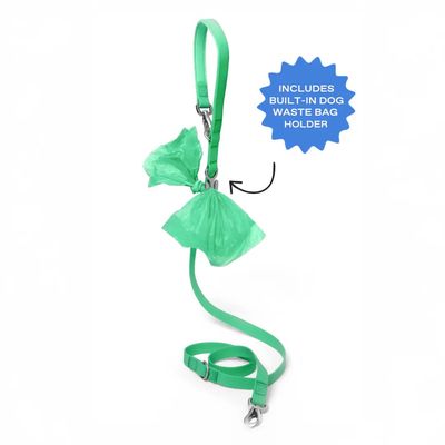 SPRINGLAND LEASH GREEN