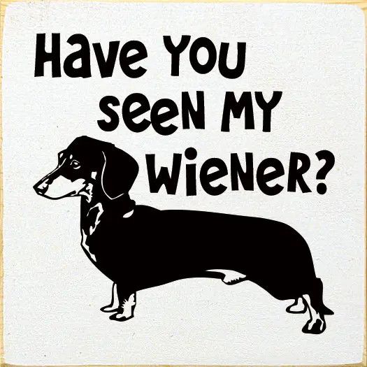 BLOCK SIGN HAVE YOU SEEN MY WIENER