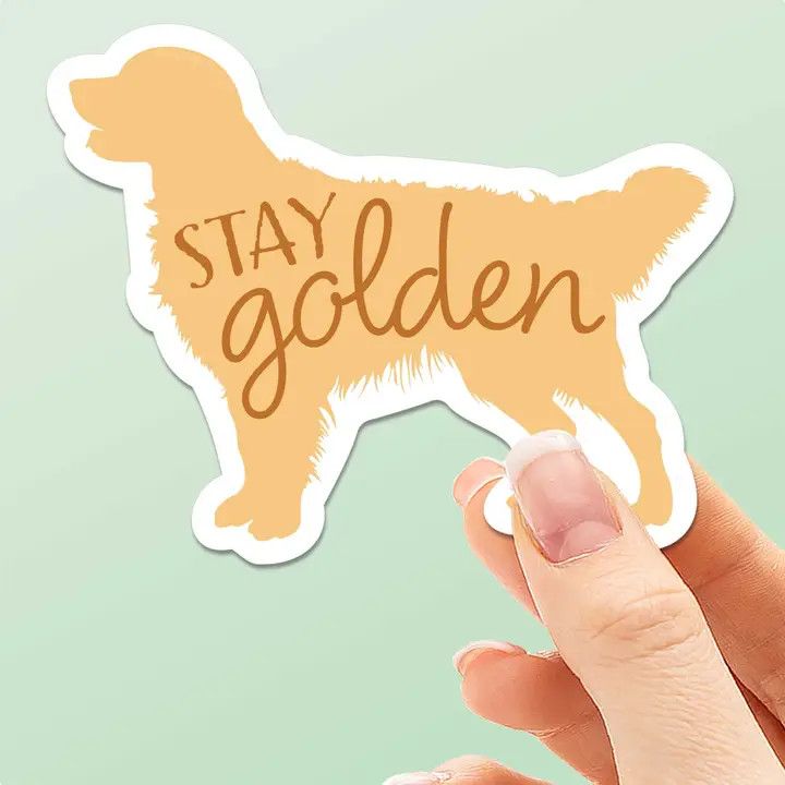 NOVELTY STICKER STAY GOLDEN