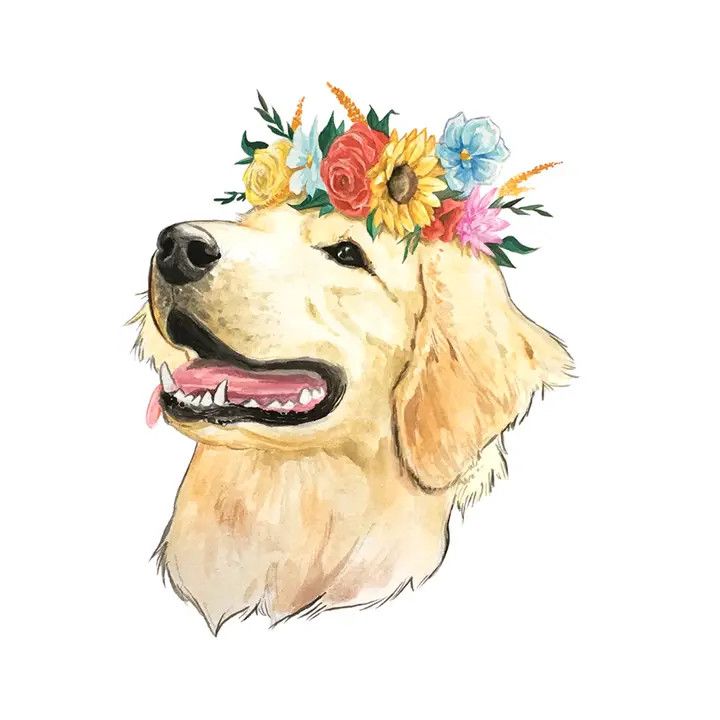NOVELTY STICKER FLOWER CROWN GOLDEN RETRIEVER