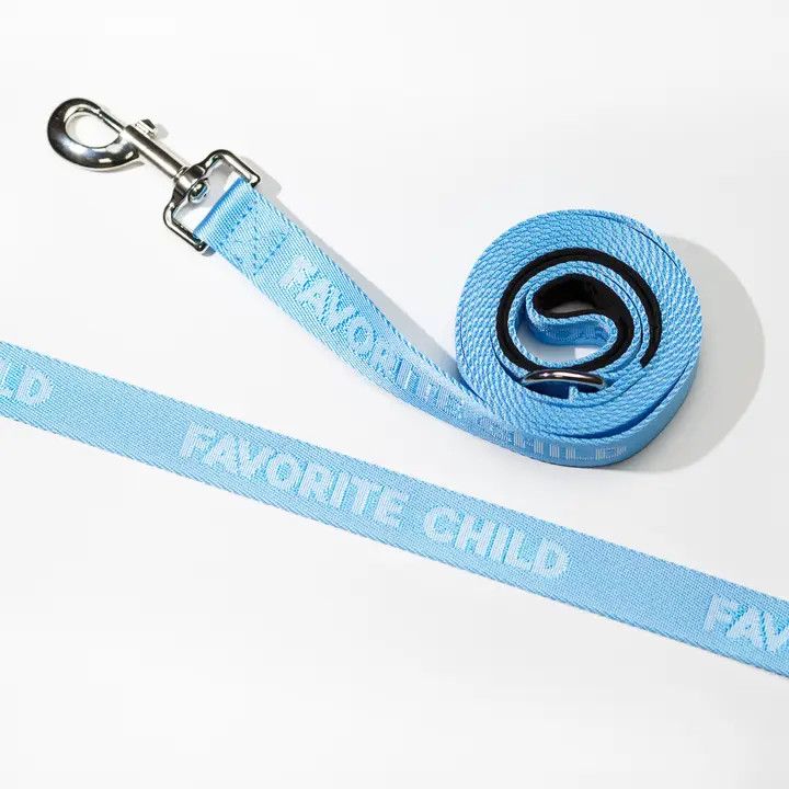 DOG LEASH FAVORITE CHILD SKY BLUE