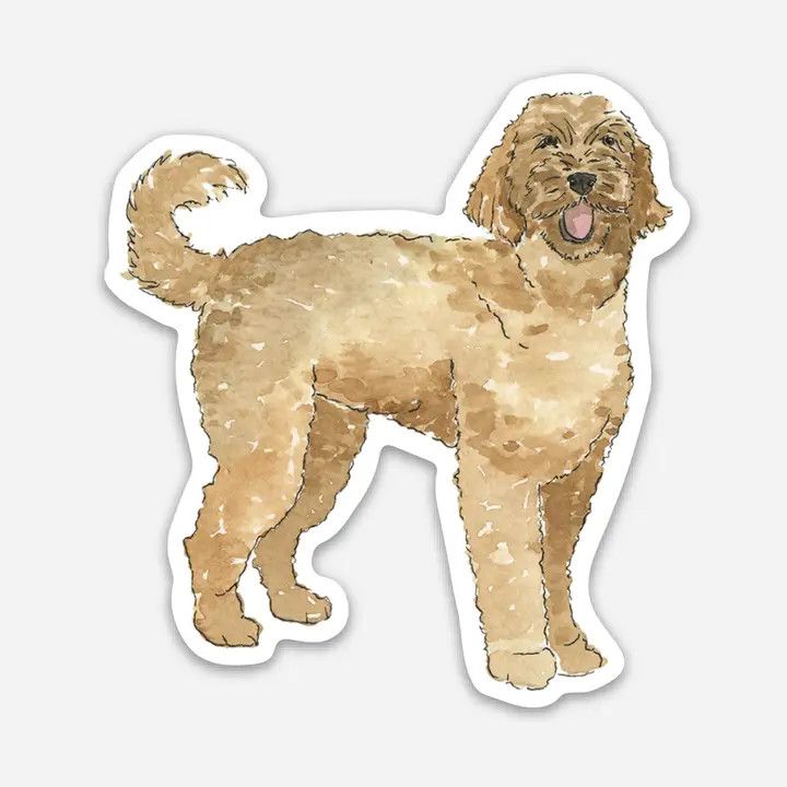 NOVELTY STICKER GOLDENDOODLE
