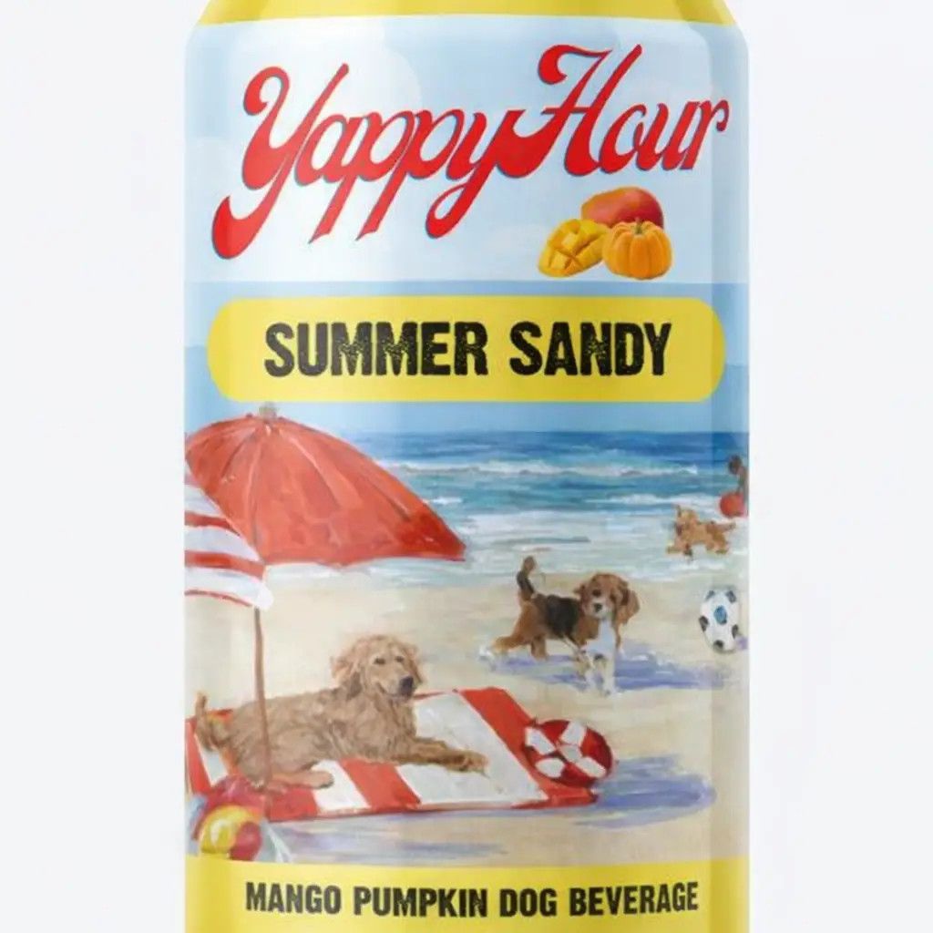 SUMMER SANDY BEER