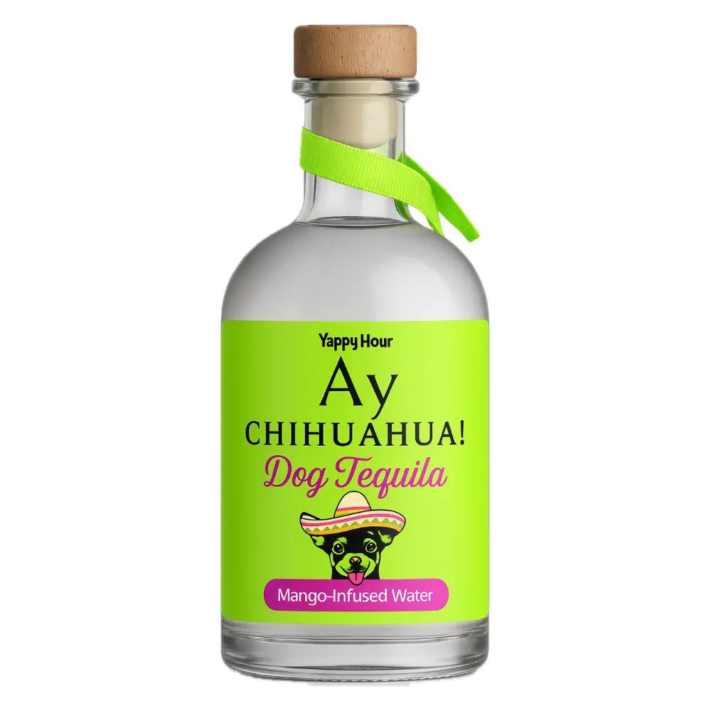 AY CHIHUAHUA DOG TEQUILA