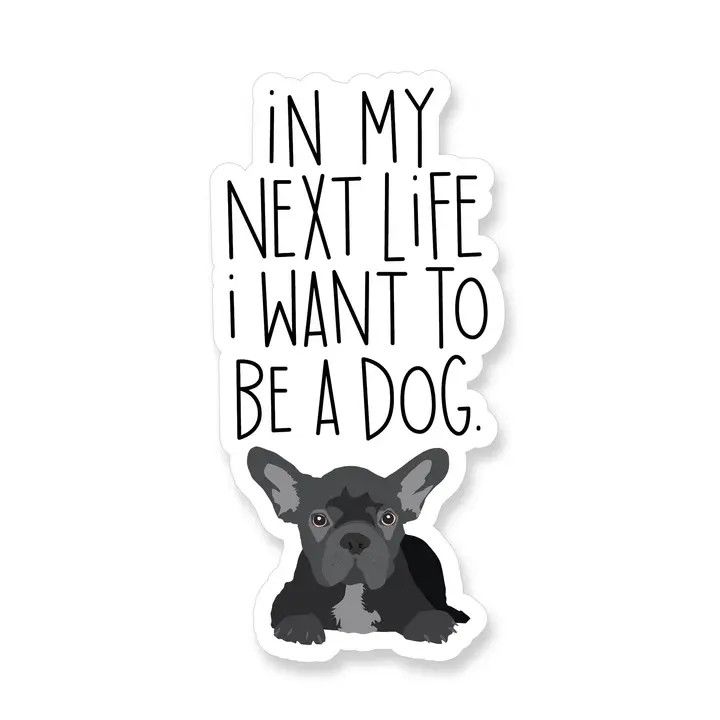 NOVELTY STICKER IN MY NEXT LIFE I WANT TO BE A DOG FRENCH BULLDOG
