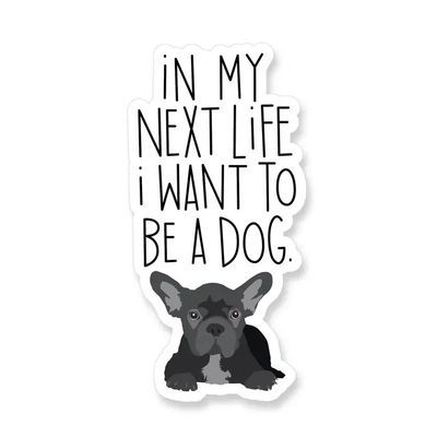 NOVELTY STICKER IN MY NEXT LIFE I WANT TO BE A DOG FRENCH BULLDOG