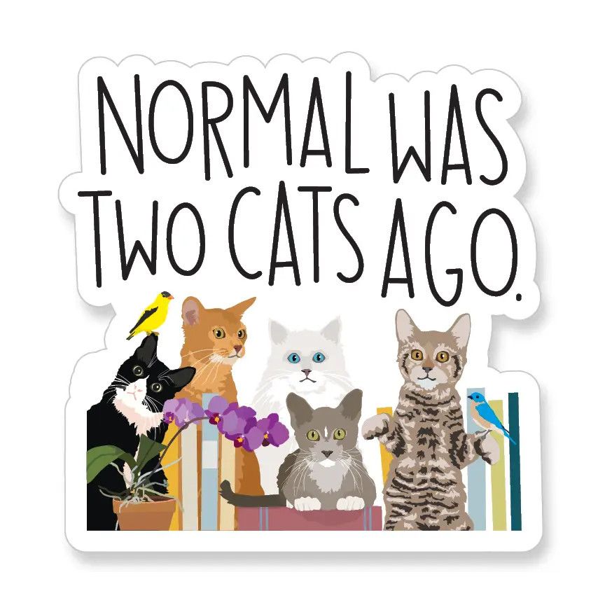 CAT NOVELTY STICKER NORMAL WAS TWO CATS AGO