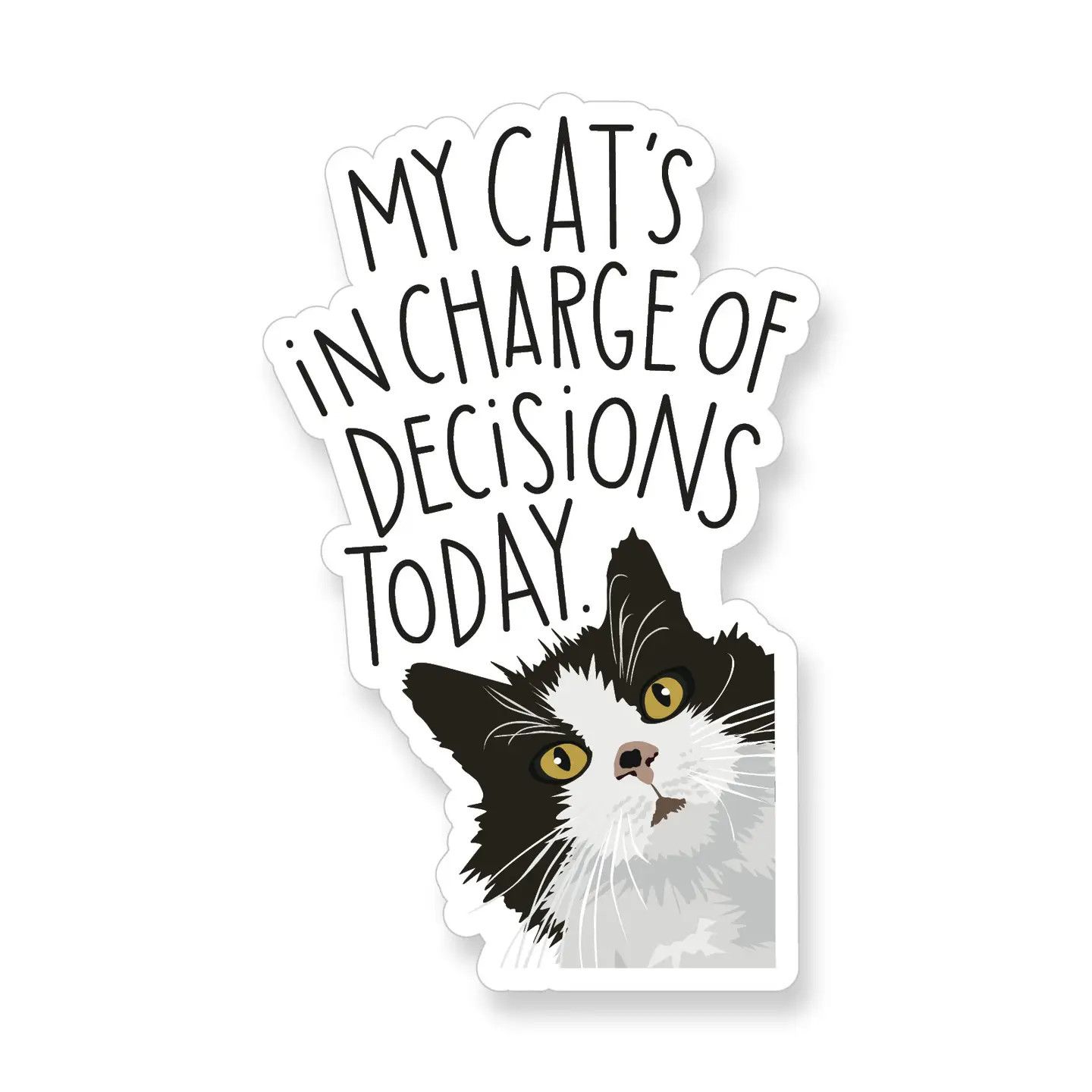 CAT NOVELTY STICKER MY CAT IS IN CHARGE OF MY DECISIONS