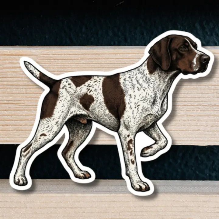 NOVELTY STICKER HAND DRAWN GERMAN SHORTHAIR POINTER