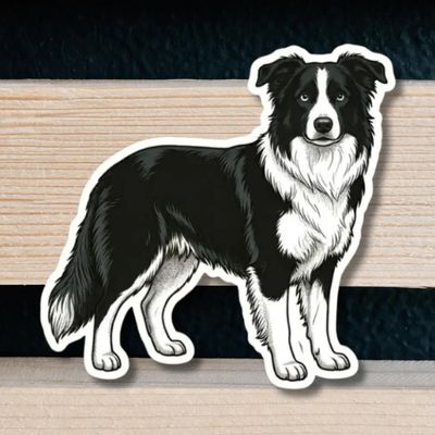 NOVELTY STICKER HAND DRAWN BORDER COLLIE