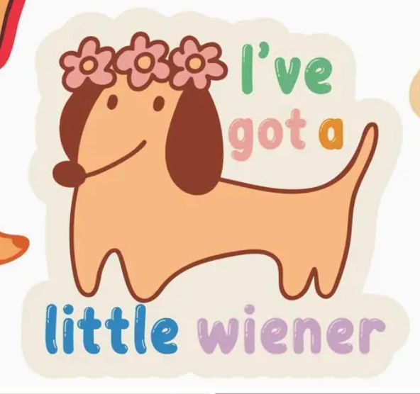 NOVELTY STICKER I'VE GOT A LITTLE WIENER