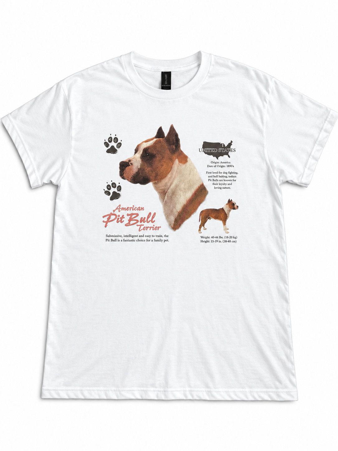 VINTAGE BREED PIT BULL TERRIER SS TEE
