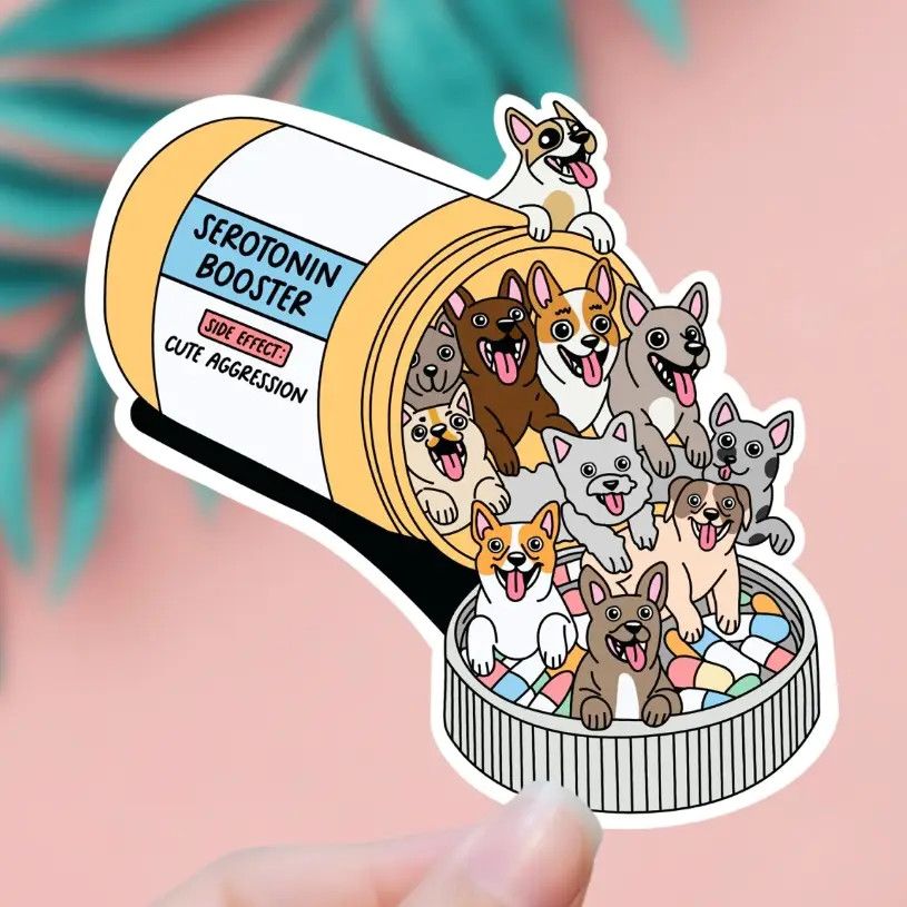 NOVELTY STICKER SERATONIN BOOSTER HAPPY PILLS