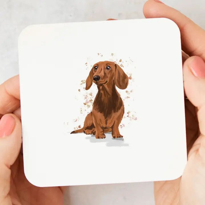 DOG BREED COASTER DACHSHUND BROWN