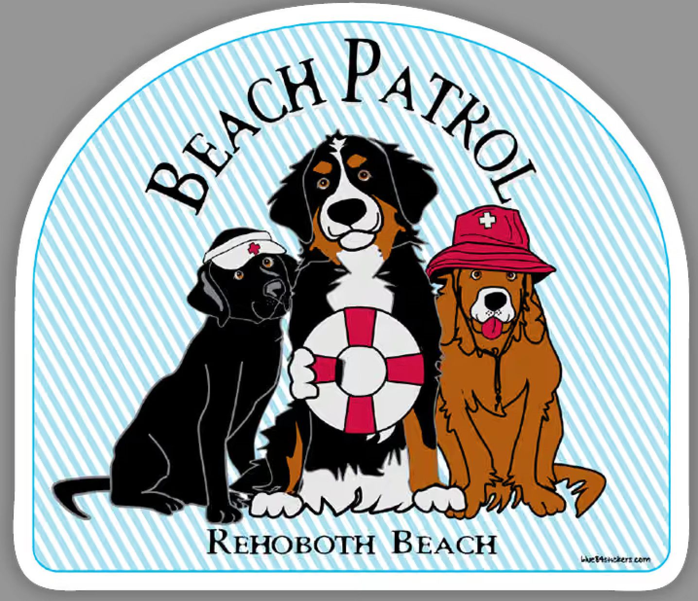 BEACH STICKER BEACH PATROL