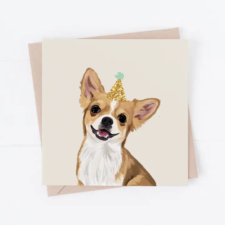 BIRTHDAY CARD PARTY CHIHUAHUA