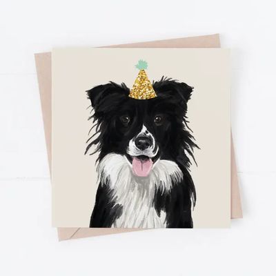 BIRTHDAY CARD PARTY BORDER COLLIE