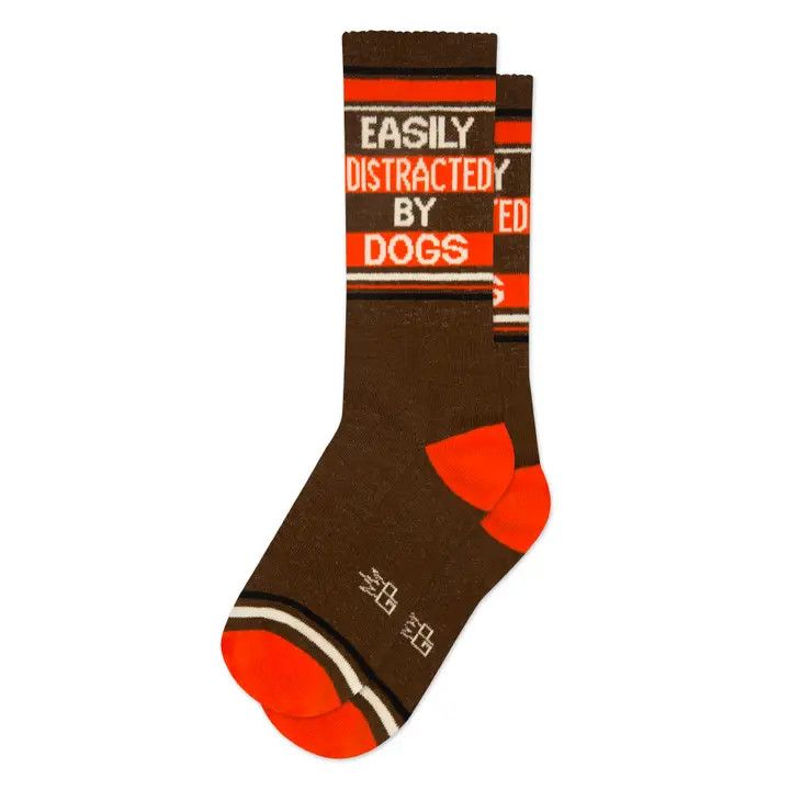 SOCKS EASILY DISTRACTED BY DOGS