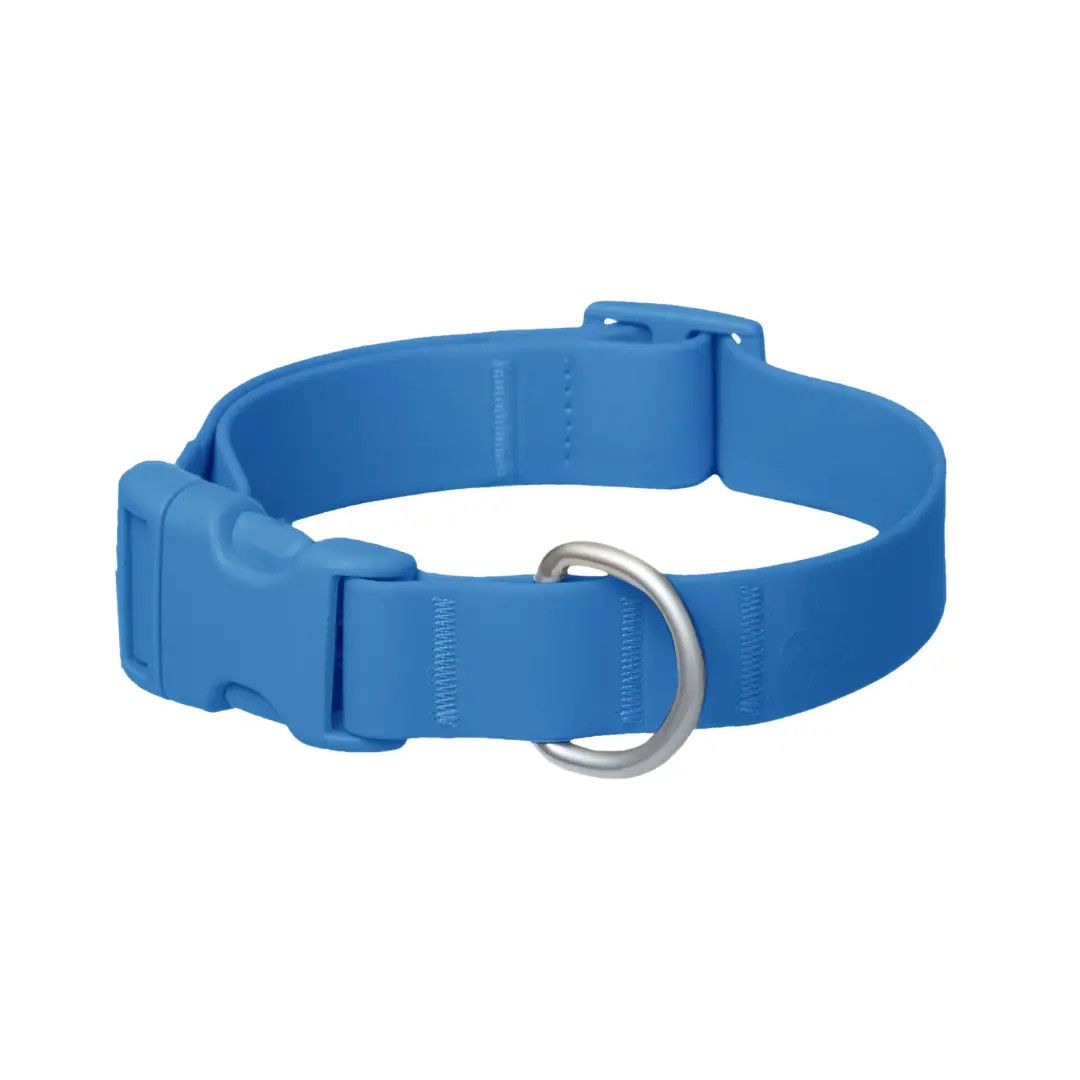 SPRINGLAND COLLAR BLUEBERRY, Size: S
