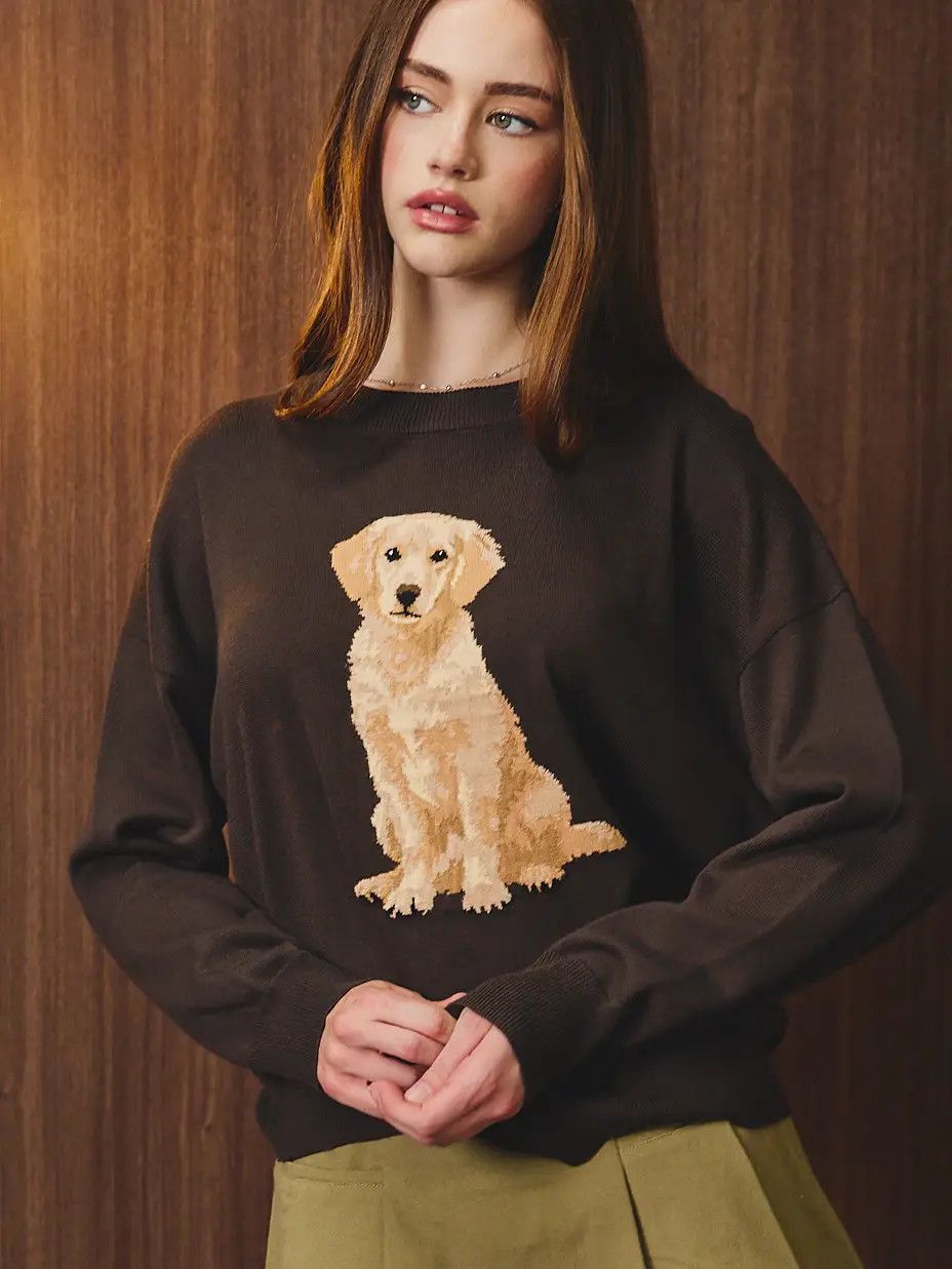 KNIT SWEATER BROWN GOLDEN RETRIEVER, Size: XS