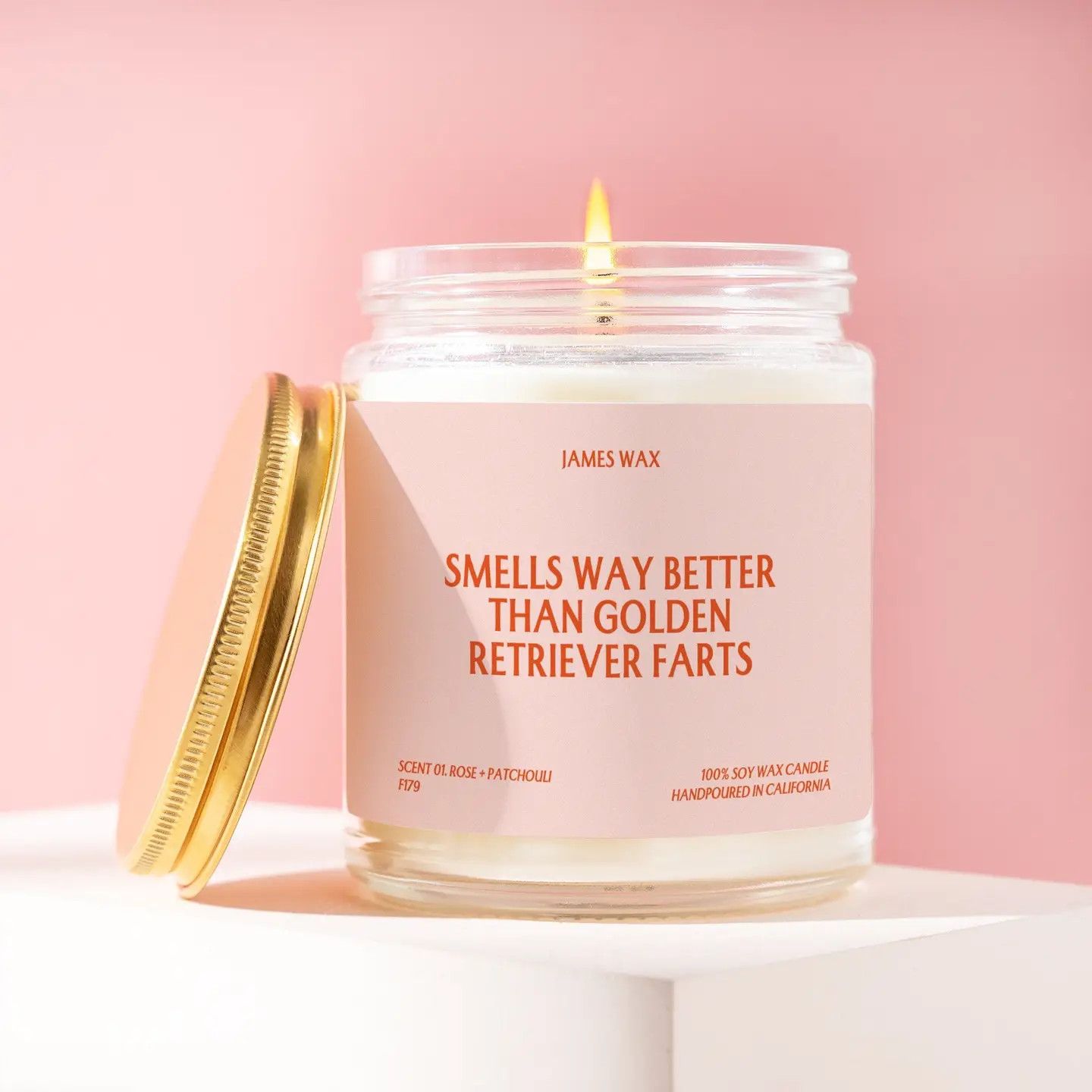 CANDLE SMELLS WAY BETTER THAN GOLDEN RETRIEVER FARTS - MIMOSA &amp; PINEAPPLE