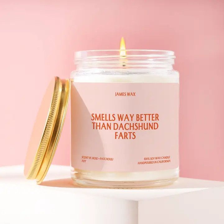 CANDLE SMELLS WAY BETTER THAN DACHSHUND FARTS - WHITE TEA &amp; JASMINE