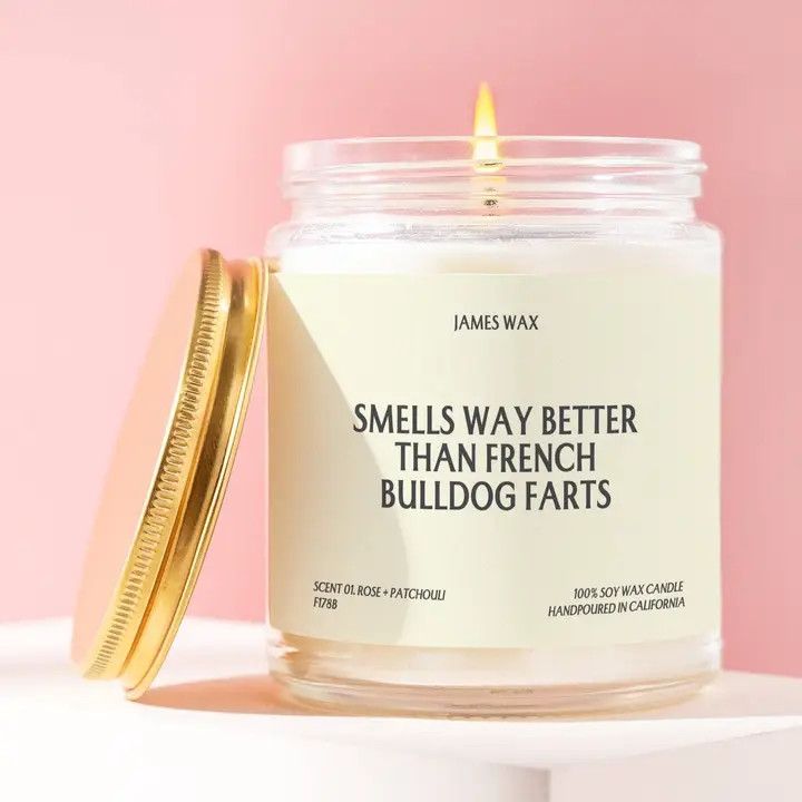 CANDLE SMELLS WAY BETTER THAN FRENCH BULLDOG FARTS - COCONUT &amp; ORANGE