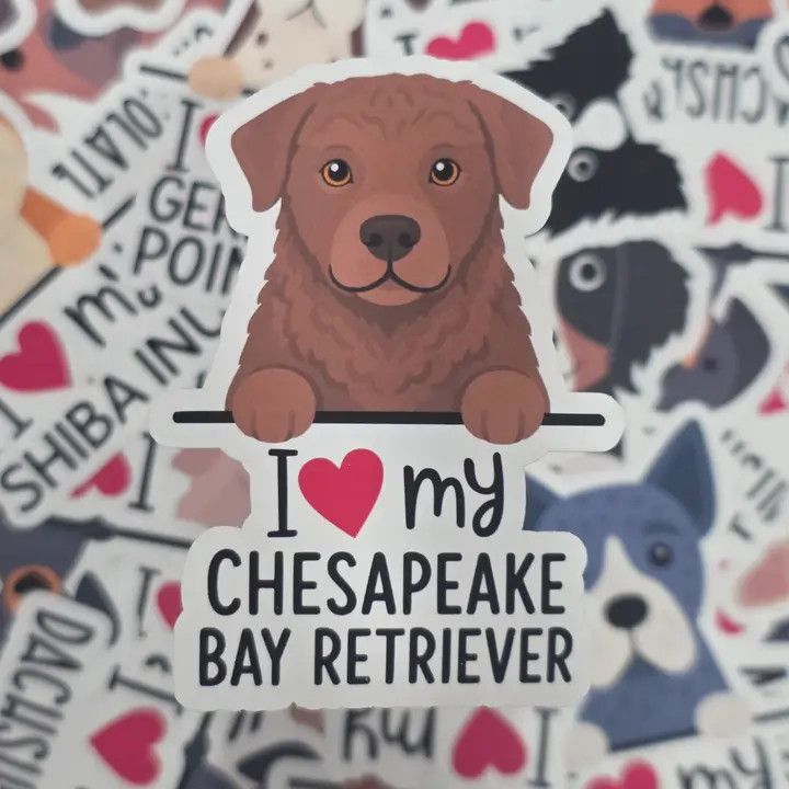 BREED STICKER I LOVE MY CHESAPEAKE BAY RETRIEVER