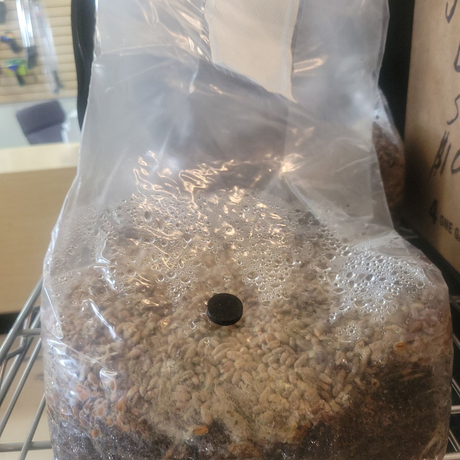 Grain Bags