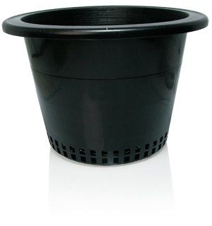 10'' Pot Mesh Bottom